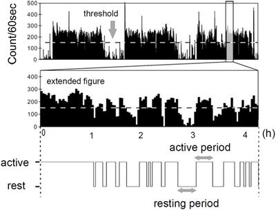 Altered distribution of resting periods of daily locomotor activity in patients with delayed sleep phase disorder